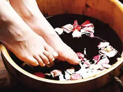 接骨草泡脚的功效 正宗接骨草图片