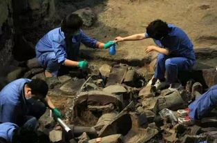 撒生石灰能让院子不长草 撒什么能让土地寸草不生