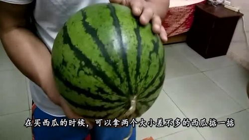 摘西瓜怎么判断生熟 看西瓜生熟的最准方法