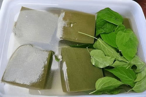 斑鸠叶豆腐不凝固怎么补救 斑鸠豆腐水加多了不凝固