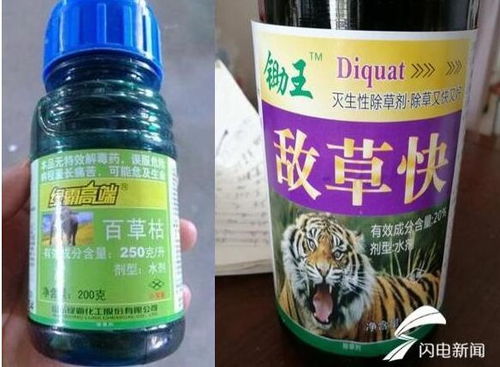 敌草快成分是百草枯吗 敌草快人喝了有治吗