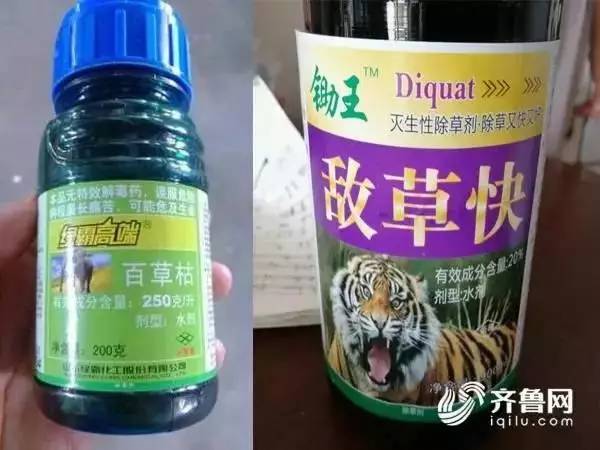 敌草快多少钱一瓶 敌草快人喝了死亡率