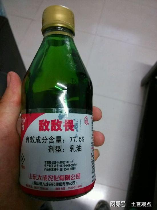 敌敌畏喷完屋子怎么清理 闻一晚上敌敌畏会中毒吗