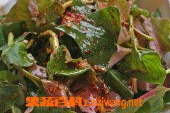 新鲜鱼腥草叶子的食用方法 新鲜鱼腥草叶子煮水正确方法
