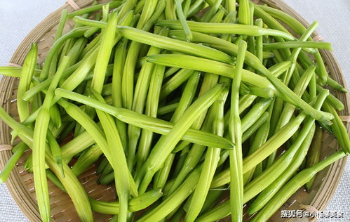 新鲜黄花菜怎么吃安全 三种人不宜吃黄花菜