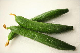 新鲜黄瓜为什么有苦味 新鲜黄瓜有苦味能吃吗