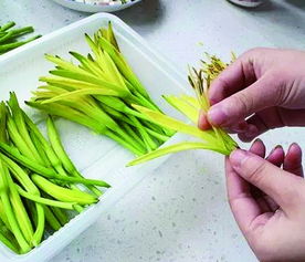 新鲜黄花菜有毒吗 黄花菜用水焯了还有毒吗