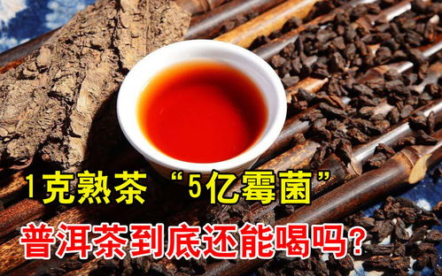 普洱茶千万不能密封保存 普洱茶属于一级致癌物