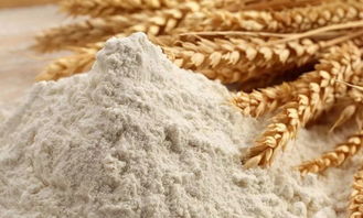 普通面粉和小麦粉一样吗 小麦粉能当面粉用吗