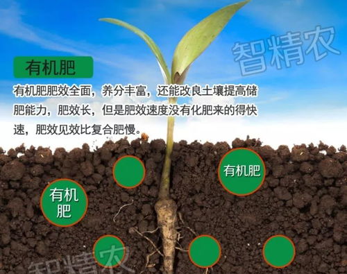 有机肥和复合肥能一起使用吗 有机肥与复合肥哪个好