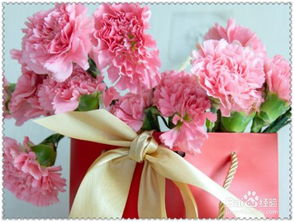 朋友搬新房送什么绿植好 入住新房买什么水果好