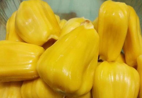 木菠萝湿气重还是热气重 木菠萝的作用与功效