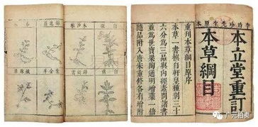本草纲目里好听的名字 冷门又惊艳的山海经名字