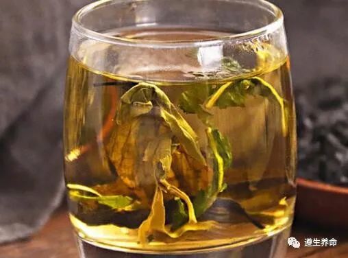 杜仲泡水喝的功效与作用 杜仲可以每天泡水喝吗
