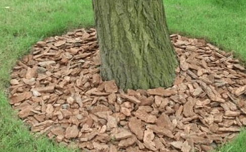 松树皮拌土缺点 树皮和土混一起能养花吗
