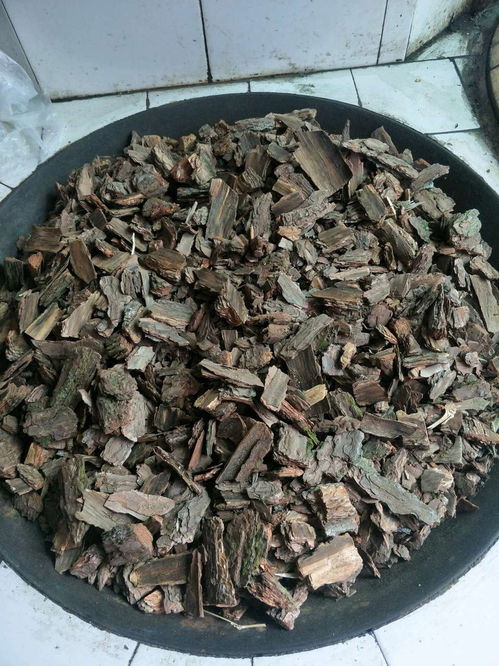 松树皮发酵最简单的方法 松树皮太阳底下晒会发酵吗