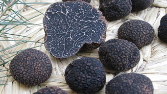 松露的味道和什么很像 松露吃起来是什么口感