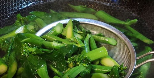 炒芥兰要焯水吗 为什么炒的芥兰是苦的