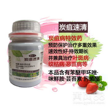 炭疽病最怕的三种药 打炭疽病最好的药