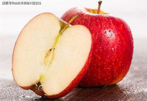 爱妃苹果品种缺点 爱妃苹果为什么贵