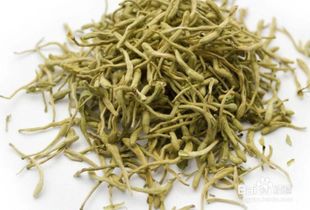 爬藤金银花一般爬多少米 金银花爬藤牵引效果图