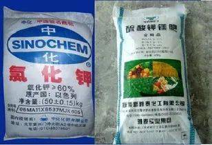牛奶是氮肥还是磷肥 鸡蛋壳是磷肥还是钾肥
