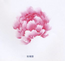 牡丹都有什么颜色 八大牡丹颜色