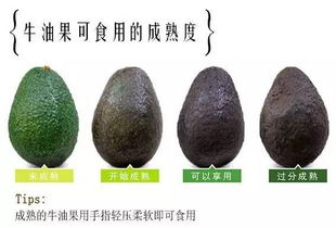 牛油果熟的怎么判断 牛油果切开太生能吃吗