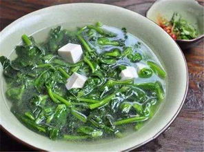 狗肝菜可以当菜吃吗 狗肝菜煲什么汤最清肝