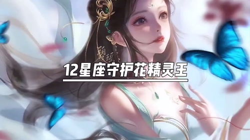 牵牛花精灵王 美人蕉精灵王