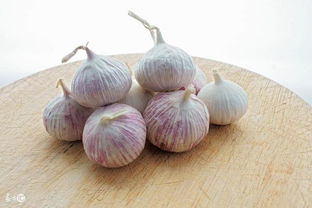 独头蒜有种子吗 独蒜种子哪里能买到