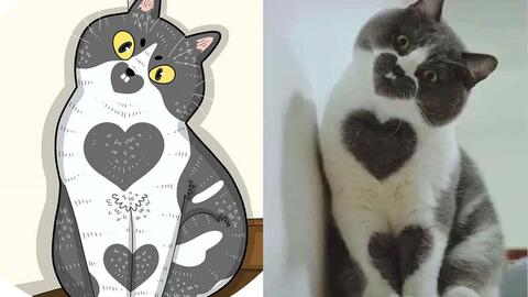 猫咪为啥老是咬绿萝呢 猫吃了绿萝根本没事