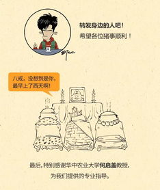 猪瘟快死的猪能吃吗 猪瘟肉煮熟了能吃吗