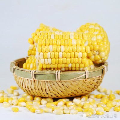 玉米属于蔬菜还是水果 玉米生出菜还是水果