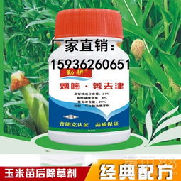 玉米8一9叶能打除草剂吗 玉米8到10片叶打什么除草剂