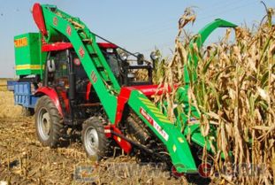 玉米的七个用途 我国玉米的主要用途