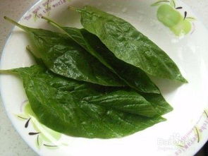 玉谷叶是什么植物 玉谷菜学名叫什么
