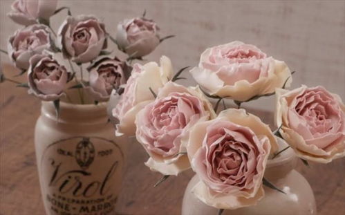 玫瑰花语是什么 玫瑰有13种颜色花语