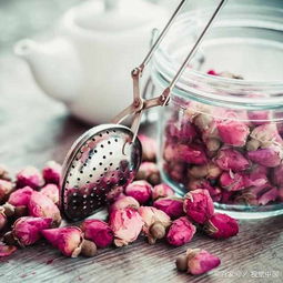 玫瑰花和什么是绝配 玫瑰花茶一周喝几次
