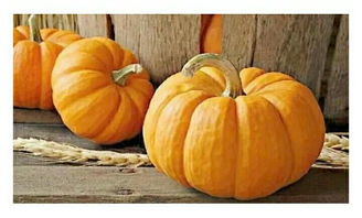 瓜有多少种瓜 都有哪些个瓜