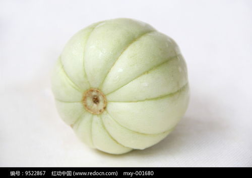 甜瓜游乐场15.0 甜瓜17.0下载