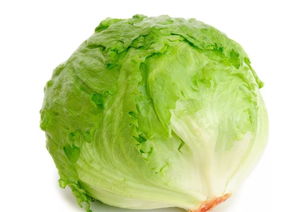 球生菜为什么比一般生菜贵 医生为为什么建议不吃生菜
