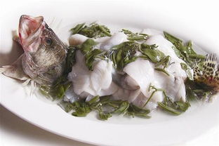 瓶装莼菜焯水不 瓶装莼菜里的汁能吃吗