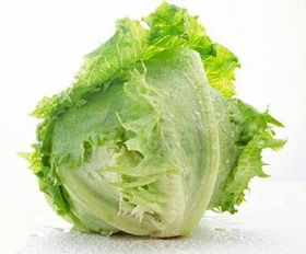 球生菜又叫什么 球生菜是卷心菜吗