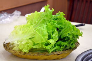 生菜品种哪个口感比较好 生菜哪种口感好些