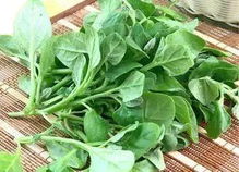 生菜农药残留最严重 十大打农药最多的菜