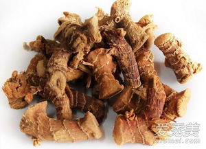 生姜和良姜炖肉的区别 生姜和良姜哪个适合卤肉