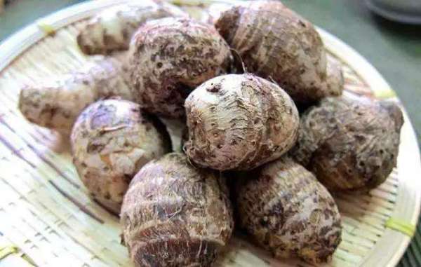 生芋头常温能放多久 生芋头放多久不能吃了