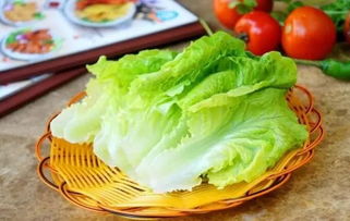 生菜催芽可以泡12小时吗 生菜冰箱催芽详细步骤