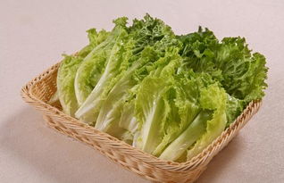 生菜为什么不能生吃 生吃生菜会有寄生虫吗